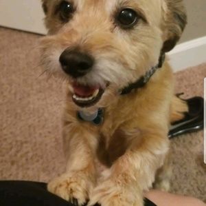 Meet your Posher, Mindy